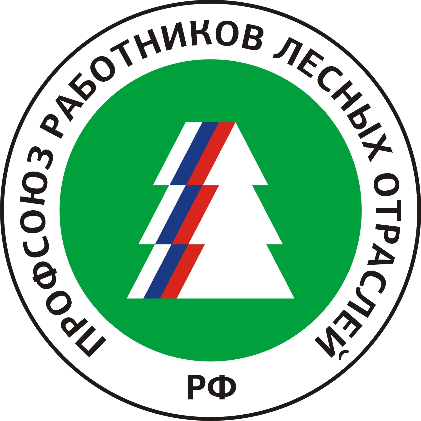 Воронежский обком профсоюза работников лесных отраслей провел пленум