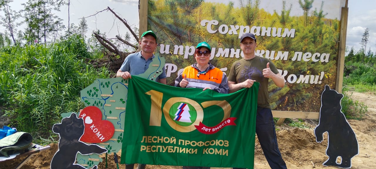 В Коми высадили более 4 тыс. сеянцев сосны в рамках Всероссийской акции «Сад памяти»