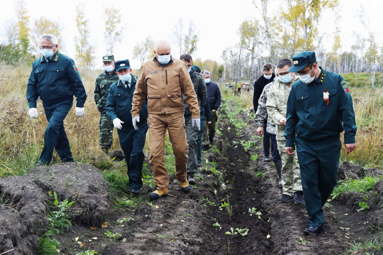 Акция «Сохраним лес» в Кемеровской области