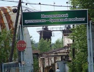  Активная позиция профсоюза Новолялинского ЦБК привлекла внимание власти к проблемам предприятия: достигнуты первые результаты 